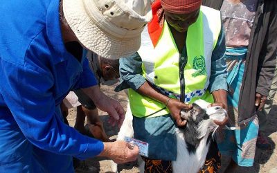 The Principles of Weather Smart Worm Control